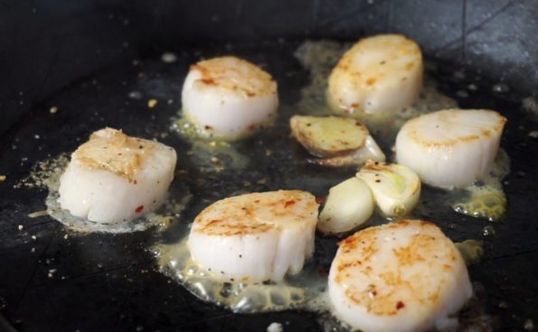 Gebratene Jakobsmuscheln/Kammmuscheln/Scallops