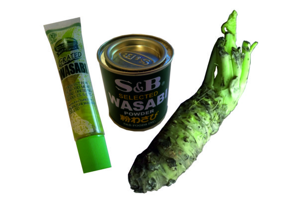 Echter Wasabi: Vergleich Wasabi aus Tube, Dose und frisch