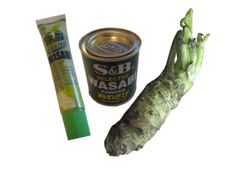 Echter Wasabi: Vergleich Wasabi aus Tube, Dose und frisch