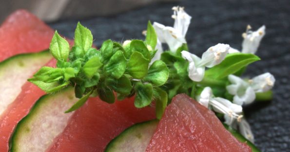 Blüte Basilikum - Dekoration für Sashimi