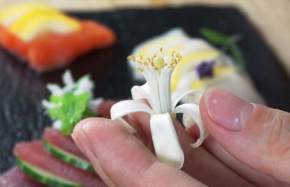 Blüte Zitrone - Dekoration für Sashimi